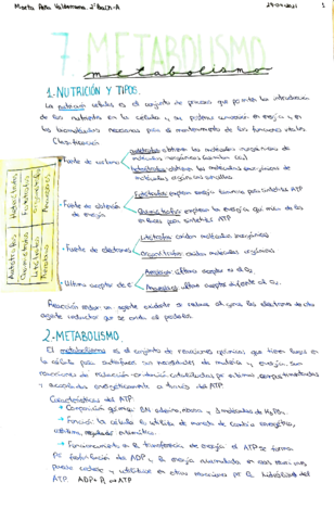 tema-7-metabolismo.pdf