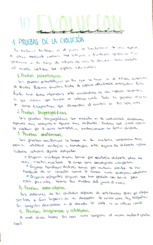tema-10-evolucion-incompleto.pdf