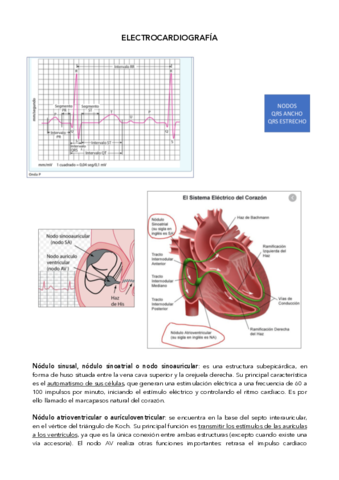 Electrocardiografia.pdf