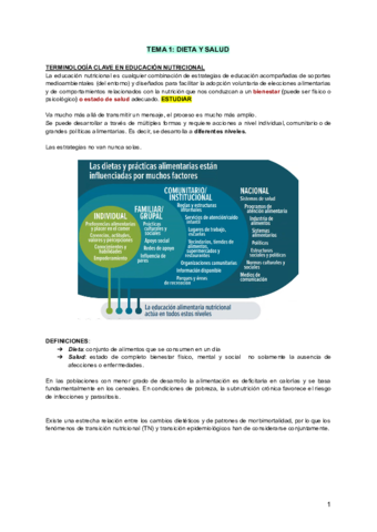 TEMA-1-PROGRAMAS.pdf