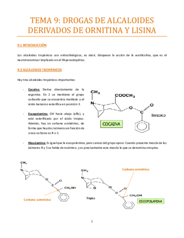 TEMA-9-bueno.pdf