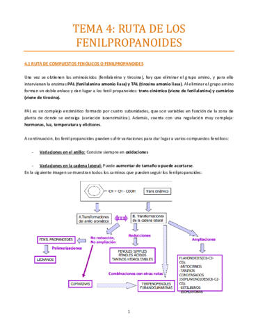 Tema-4-bueno.pdf