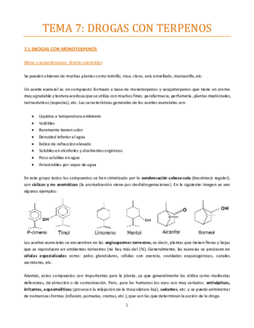 Tema-7-bueno.pdf