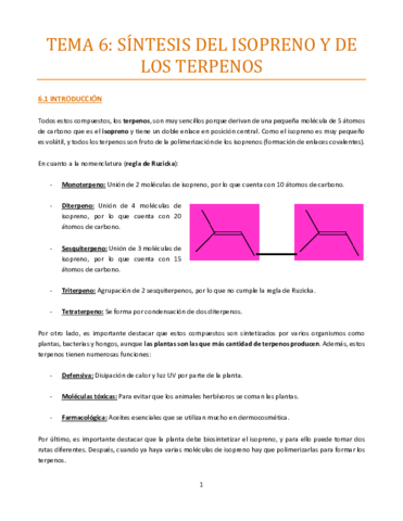 Tema-6-bueno.pdf