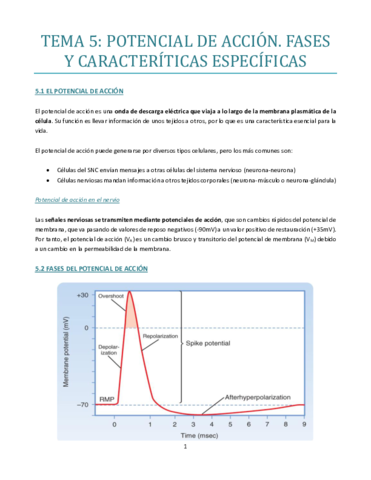 TEMA-5-bueno.pdf