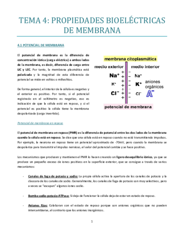 TEMA-4-bueno.pdf