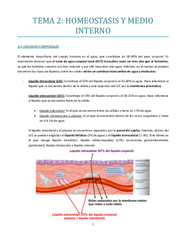 TEMA-2-bueno.pdf