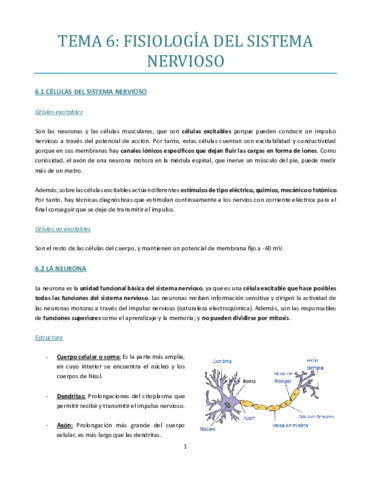 TEMA-6-bueno.pdf