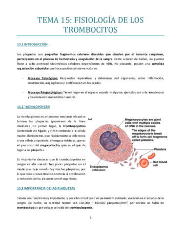 TEMA-15-bueno.pdf