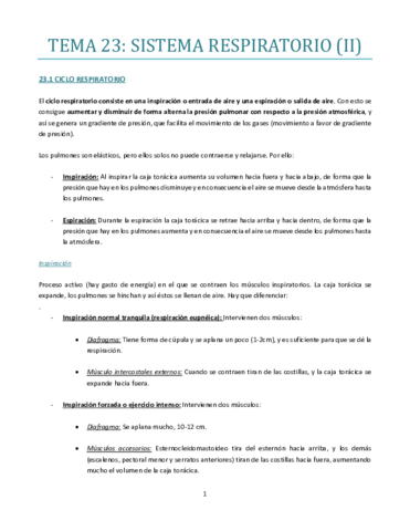TEMA-23-bueno.pdf