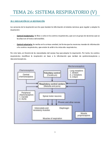 TEMA-26-bueno.pdf
