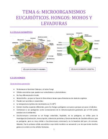 TEMA-6-bueno.pdf