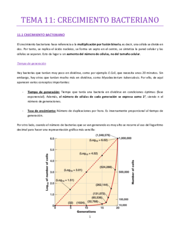 TEMA-11-bueno.pdf