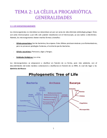 TEMA-2-bueno.pdf