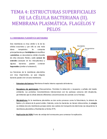 TEMA-4-bueno.pdf