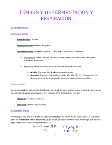 TEMAS-9-Y-10-bueno.pdf