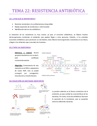 TEMA-22-bueno.pdf