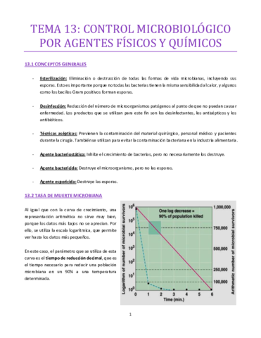 TEMA-13-bueno.pdf