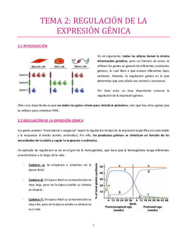 TEMA-2-bueno.pdf
