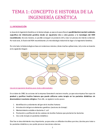 Tema-1-bueno.pdf