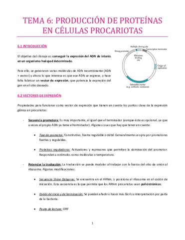 TEMA-6-bueno.pdf