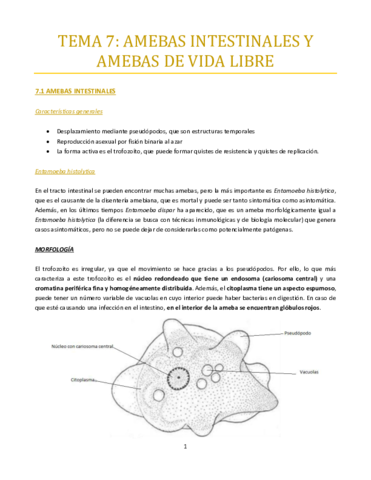 TEMA-7-bueno.pdf