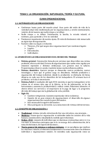 TEMA-5.pdf