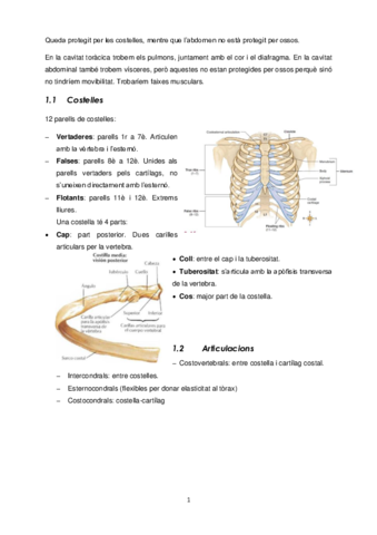 Sistema-Locomotor.pdf