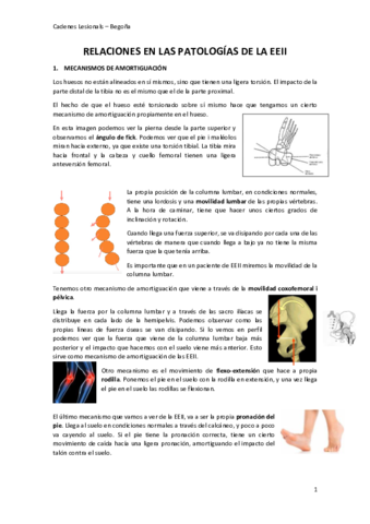Teoria-Cadenes-lesionals.pdf