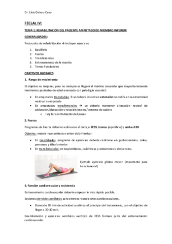 Amputados-Guirao.pdf