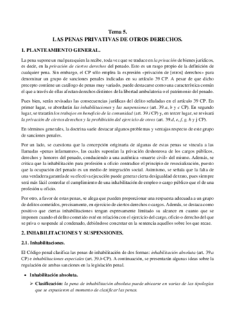 Tema-5-Las-penas-privativas-de-otros-derechos.pdf
