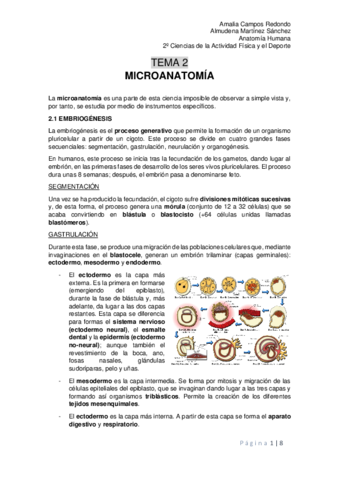 Tema-2.pdf