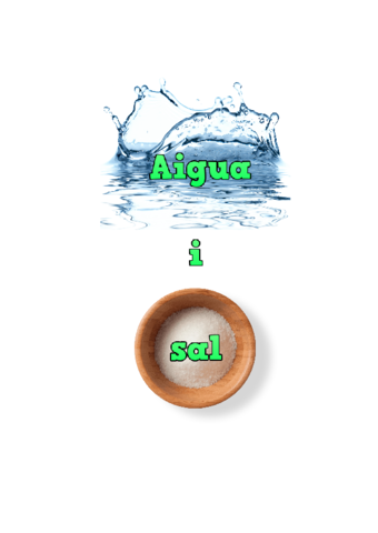 Aigua-i-sal.pdf