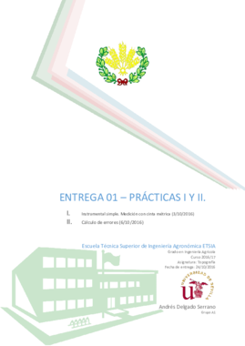 Entrega 1 (P1y2).pdf
