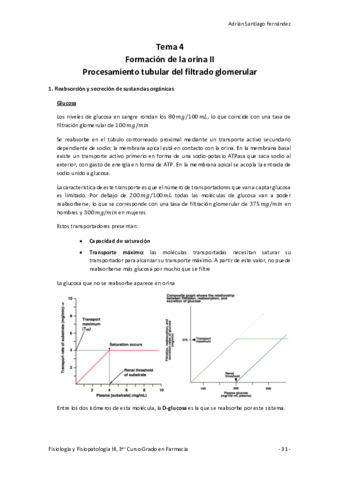 Tema-4-Formacion-de-la-orina-II.pdf