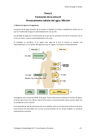 Tema-5-Formacion-de-la-orina-III.pdf