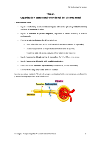 Tema-1-Organizacion-estructural-y-funcional-del-sistema-renal.pdf