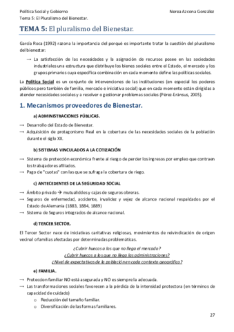 T5politicaNereaAzcona.pdf