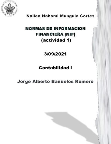 NORMAS-DE-INFORMACION-FINANCIERA.pdf