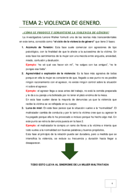 T-2 Violencia de Genero (ANNA).pdf