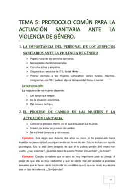T-5 Protocolo Comun ante Violencia de Genero.pdf