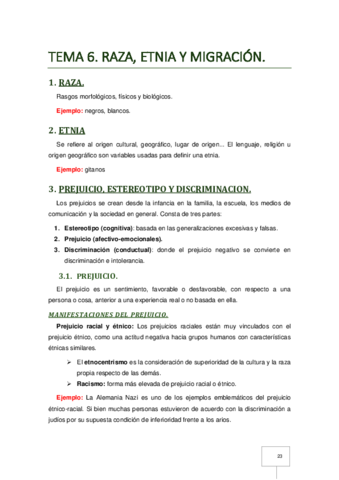 T-6 Raza Etnia y Migracion (ANNA).pdf