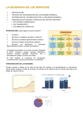 sector-servicios.pdf