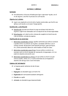 Preguntas Seminario 1.pdf
