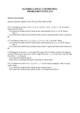 Problemes Tutelats2.pdf