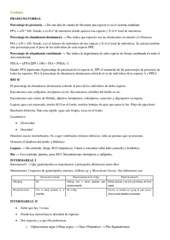 Imprimir-Examenes-Teoria.pdf