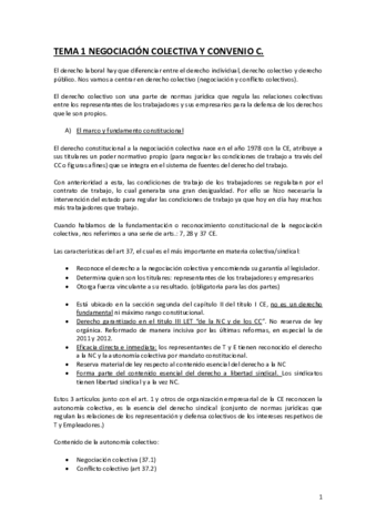 Sindical-T1-5.pdf