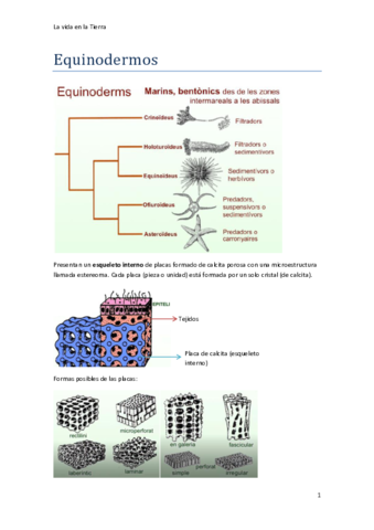 apuntes-2o-parcial.pdf