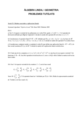 Problemes tutelats4.pdf