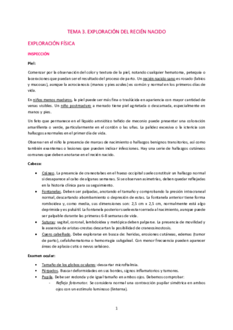 T3-Exploracion-del-RN.pdf